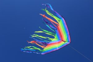 kite